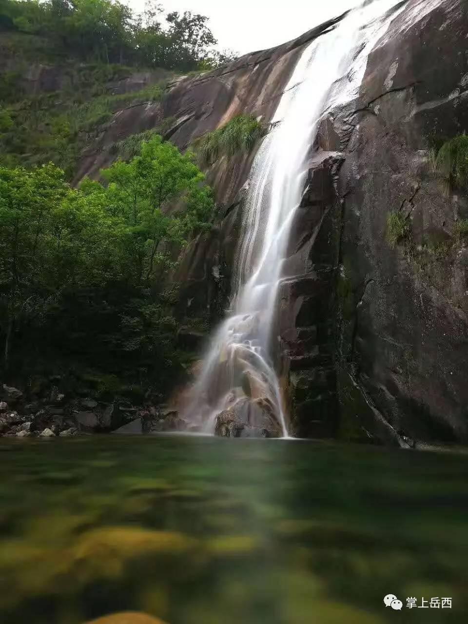 新风暖红莲